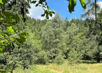 Foto 6 - Terreno agricolo Plagna, Collio - foto 6