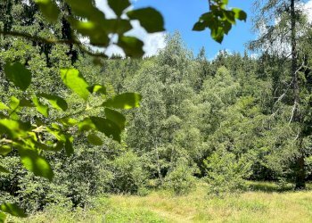 Foto 7 - Terreno agricolo Plagna, Collio - foto 7