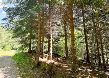 Foto 8 - Terreno agricolo Plagna, Collio - foto 8