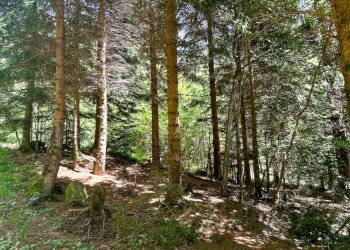 Foto 9 - Terreno agricolo Plagna, Collio - foto 9