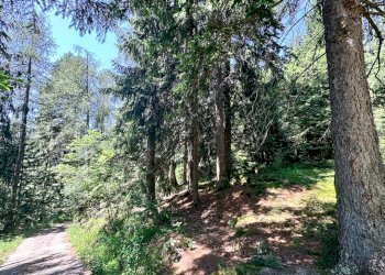 Foto 10 - Terreno agricolo Plagna, Collio - foto 10