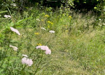 Foto 14 - Terreno agricolo Plagna, Collio - foto 14