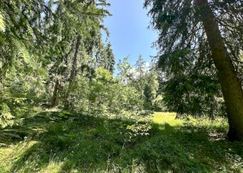 Foto 16 - Terreno agricolo Plagna, Collio - foto 16