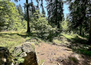 Foto 17 - Terreno agricolo Plagna, Collio - foto 17