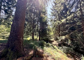 Foto 18 - Terreno agricolo Plagna, Collio - foto 18