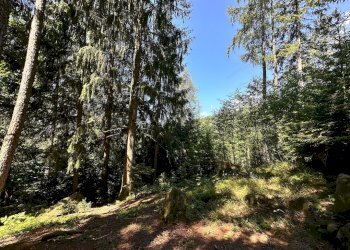 Foto 19 - Terreno agricolo Plagna, Collio - foto 19