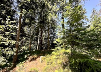 Foto 20 - Terreno agricolo Plagna, Collio - foto 20