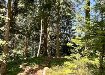 Foto 21 - Terreno agricolo Plagna, Collio - foto 21