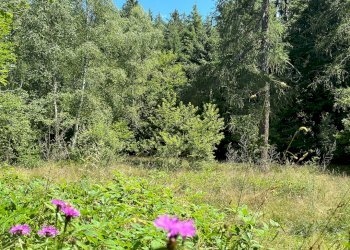 Foto 22 - Terreno agricolo Plagna, Collio - foto 22