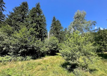 Foto 25 - Terreno agricolo Plagna, Collio - foto 25