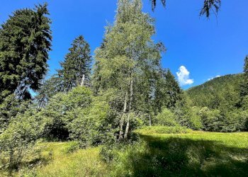 Foto 26 - Terreno agricolo Plagna, Collio - foto 26