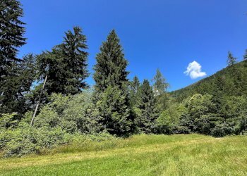 Foto 27 - Terreno agricolo Plagna, Collio - foto 27