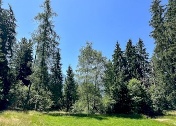 Foto 30 - Terreno agricolo Plagna, Collio - foto 30