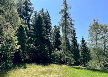 Foto 31 - Terreno agricolo Plagna, Collio - foto 31