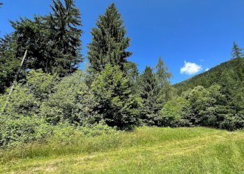 Foto 32 - Terreno agricolo Plagna, Collio - foto 32