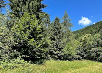 Foto 33 - Terreno agricolo Plagna, Collio - foto 33