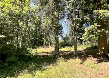 Foto 34 - Terreno agricolo Plagna, Collio - foto 34