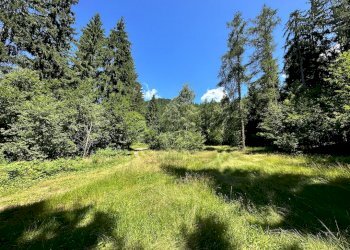 Foto 35 - Terreno agricolo Plagna, Collio - foto 35