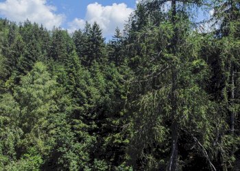 Foto 37 - Terreno agricolo Plagna, Collio - foto 37