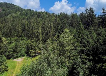 Foto 38 - Terreno agricolo Plagna, Collio - foto 38