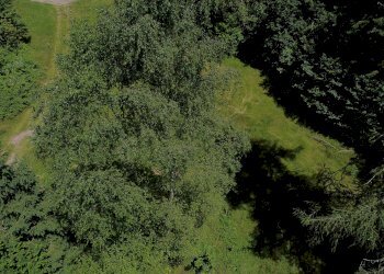 Foto 41 - Terreno agricolo Plagna, Collio - foto 41