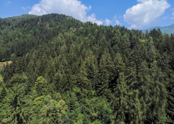 Foto 42 - Terreno agricolo Plagna, Collio - foto 42