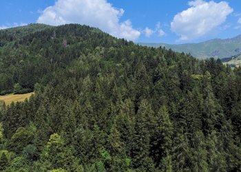 Foto 43 - Terreno agricolo Plagna, Collio - foto 43