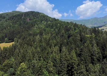 Foto 44 - Terreno agricolo Plagna, Collio - foto 44