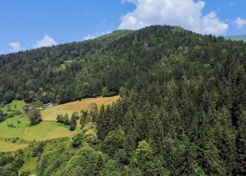 Foto 45 - Terreno agricolo Plagna, Collio - foto 45