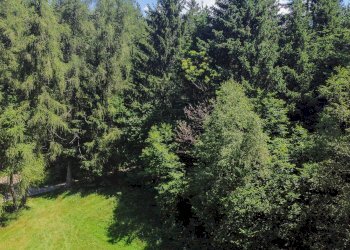 Foto 46 - Terreno agricolo Plagna, Collio - foto 46