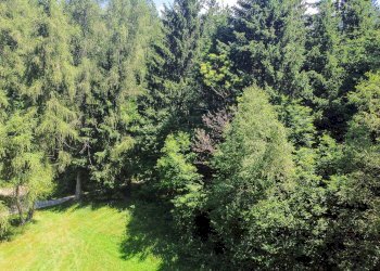 Foto 47 - Terreno agricolo Plagna, Collio - foto 47