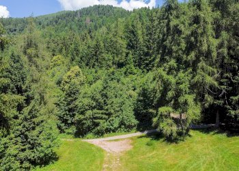 Foto 48 - Terreno agricolo Plagna, Collio - foto 48