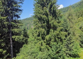 Foto 49 - Terreno agricolo Plagna, Collio - foto 49