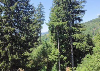 Foto 50 - Terreno agricolo Plagna, Collio - foto 50