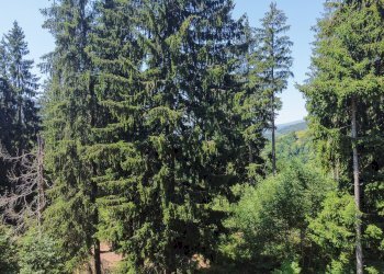 Foto 51 - Terreno agricolo Plagna, Collio - foto 51