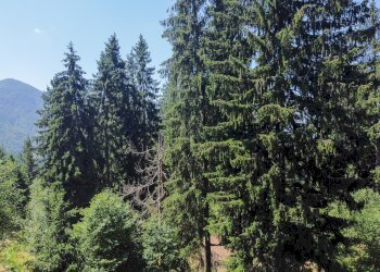 Foto 52 - Terreno agricolo Plagna, Collio - foto 52