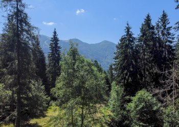 Foto 53 - Terreno agricolo Plagna, Collio - foto 53