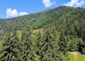 Foto 55 - Terreno agricolo Plagna, Collio - foto 55