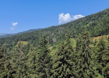 Foto 56 - Terreno agricolo Plagna, Collio - foto 56