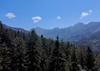 Foto 61 - Terreno agricolo Plagna, Collio - foto 61