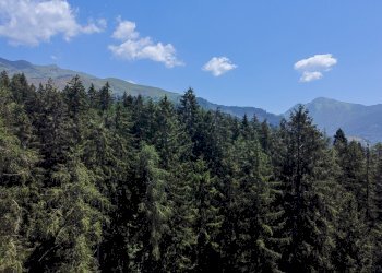 Foto 62 - Terreno agricolo Plagna, Collio - foto 62