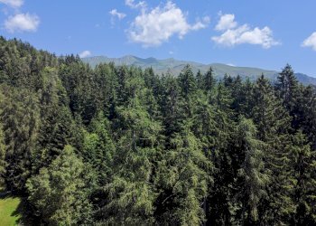 Foto 63 - Terreno agricolo Plagna, Collio - foto 63