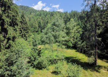 Foto 67 - Terreno agricolo Plagna, Collio - foto 67