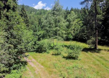 Foto 68 - Terreno agricolo Plagna, Collio - foto 68