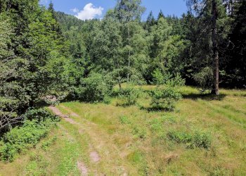 Foto 69 - Terreno agricolo Plagna, Collio - foto 69