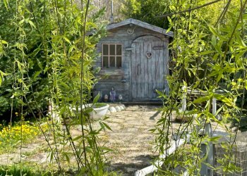 DETTAGLIO GIARDINO - Casa indipendente Regione Molli
 
50, Melazzo - foto 15