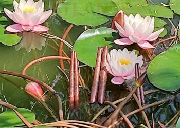 LAGHETTO - Casa indipendente Regione Molli
 
50, Melazzo - foto 32