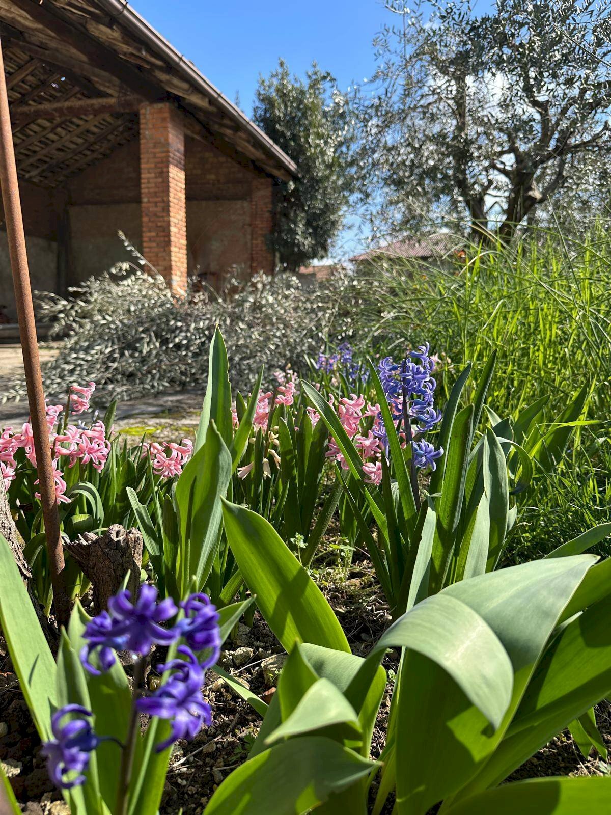 Foto 2 - Rustico VIA TITO SPERI, Rovato - foto 2