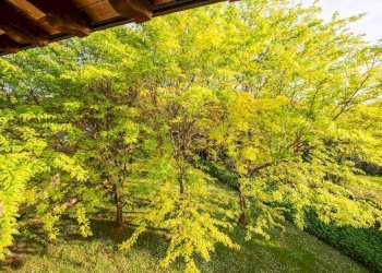 Foto 27 - Bilocale Via Della Fattoria
 
12, Cologno al Serio - foto 27