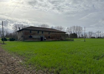 Farmhouse Minerbio - photo 3